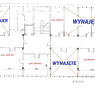 Lokal na wynajem
